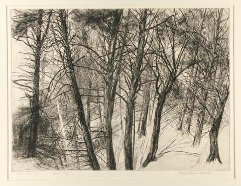 "Guilford Woods"