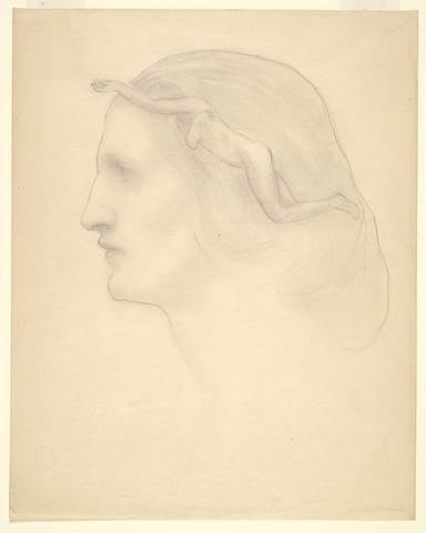 Profile and Superimposed Figure