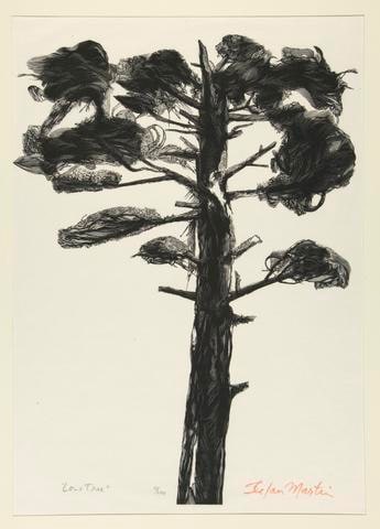 Lone Tree