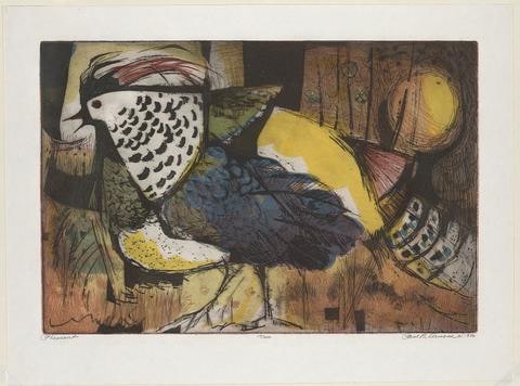 Pheasant