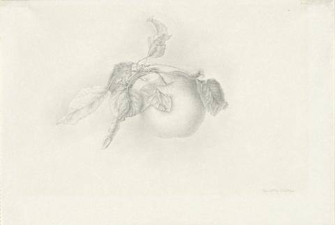Windfall