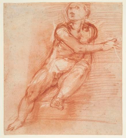 Study of a Youth