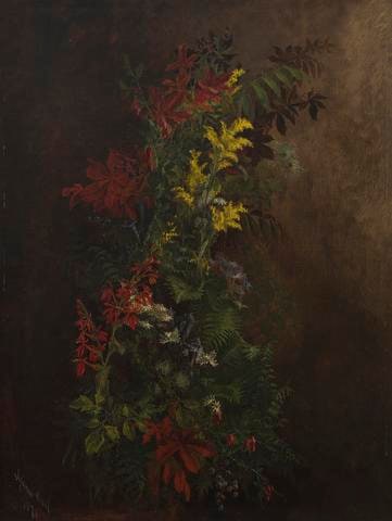 Wild Flowers