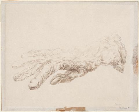 Glove in Repose