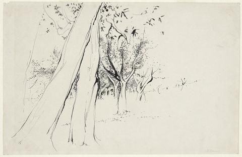 Landscape with Diagonal Tree