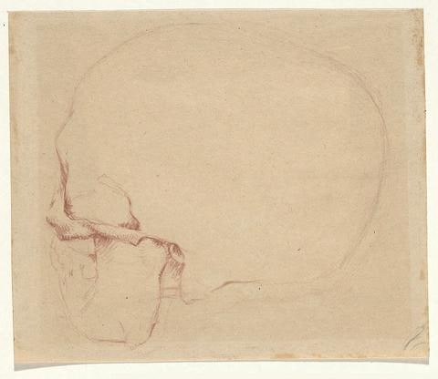 Study of a Skull (one of a group of 2)