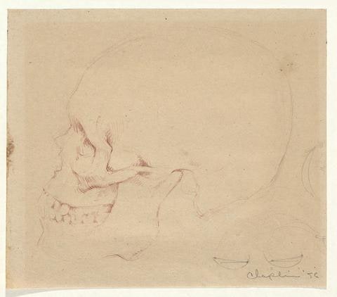 Study of Skulls (one of a group of two)