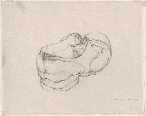 Slouching Shoe