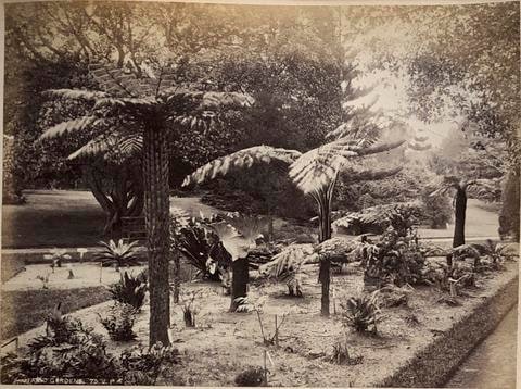Botanic Gardens, from the album [Sydney, Australia]