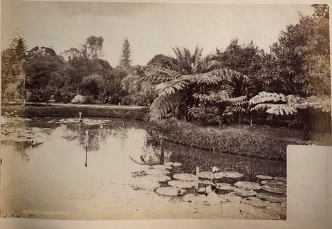 Botanic Gardens, from the album [Sydney, Australia]