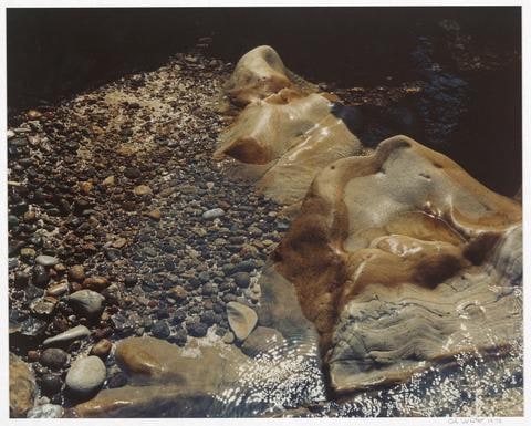 Tidepool, Point Lobos