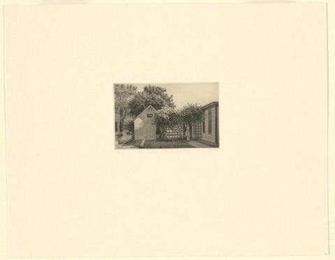 Picking Grapes, Greenport, L.I. N.Y.