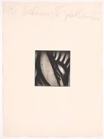 Anthurium IV, from The Peterdi Years: Alumni Portfolio