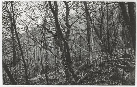 Raven's Roost (Gothic Landscape 13), from The Peterdi Years: Alumni Portfolio