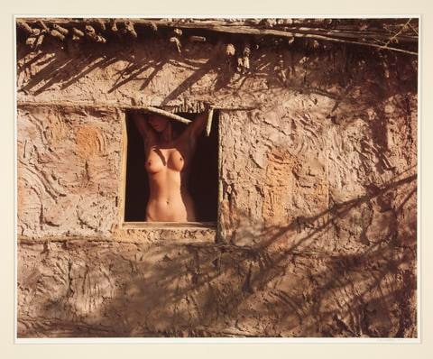 Nude in Window, Arizona