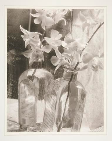 Untitled [orchids & bottle]
