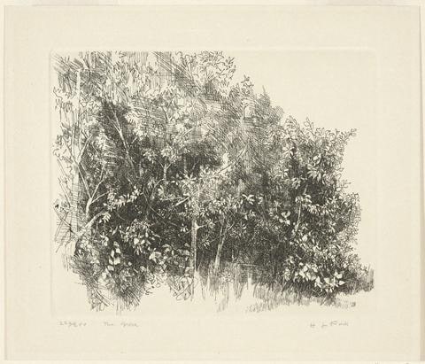 The Grove