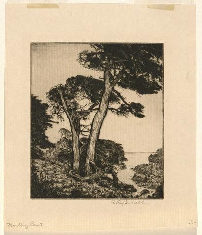 Monterey Coast