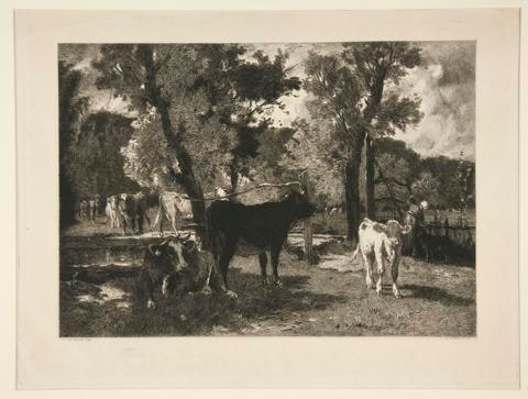 Untitled [Cows by a River]