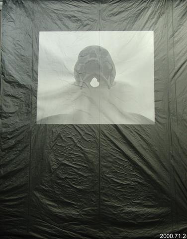 Dispossession #12