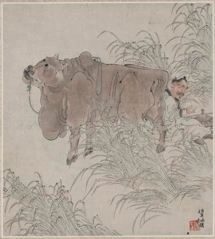 Reading Beside an Ox