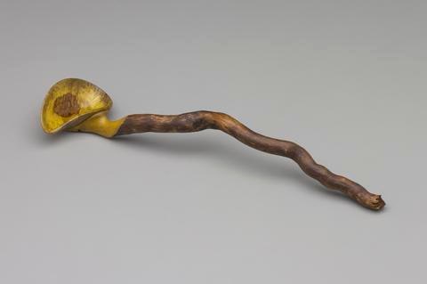 Spoon