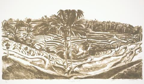 Canyon, Seacoast, and Sculpted Land