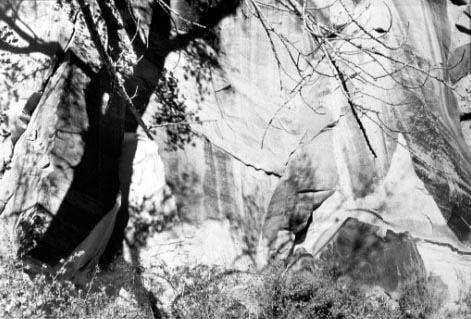 Capitol Reef National Park, Utah