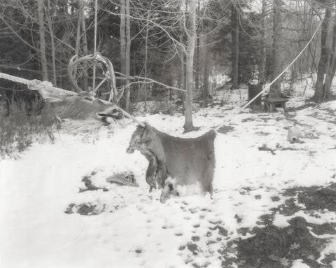 Deer Parts, Friendship