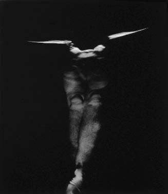 Untitled, [winged body in water]
