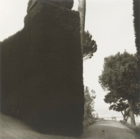Hedge and Road, Villa Gamberaia, Settignano, Italy