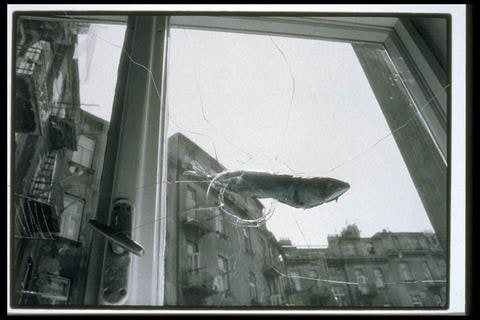 Deceit Fish
