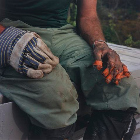 Untitled (Orange Duct Tape), from the series Tree Planting
