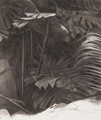 Foliage Study for the series Parrots and Cockatoos