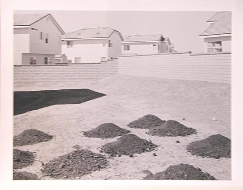 Untitled [Dirt mounds]
