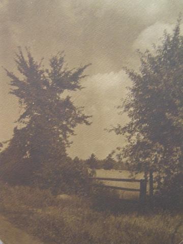 Meadow with fence, trees, and clouds