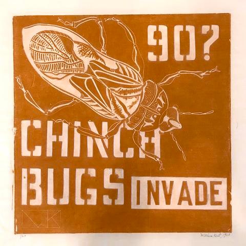 Chinch Bugs Invade
