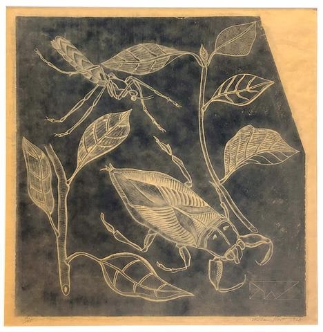 Leaves and Insects