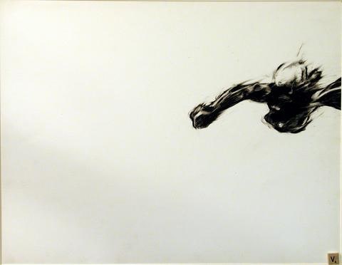 Skydiver
