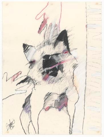 Bitch (Wild Dog)