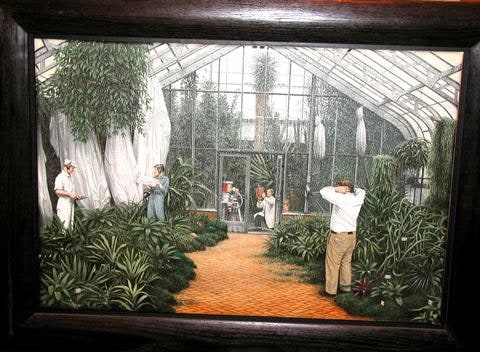 The Inharmonic Cultivation of Delicate Plants