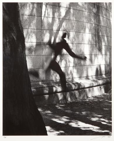 #7, from the series Shadow
