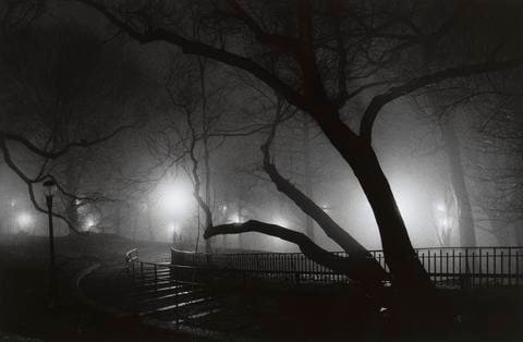 Riverside Park Fog