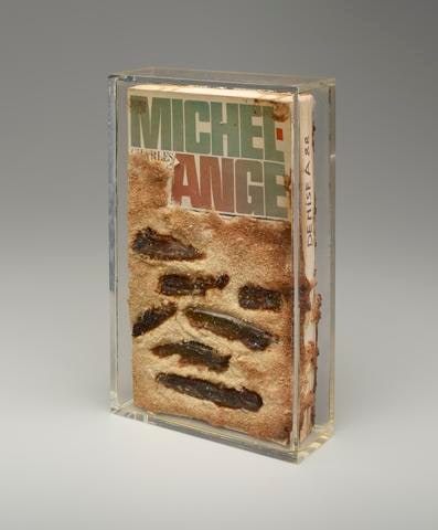 Michel-Ange (Cooked Book)