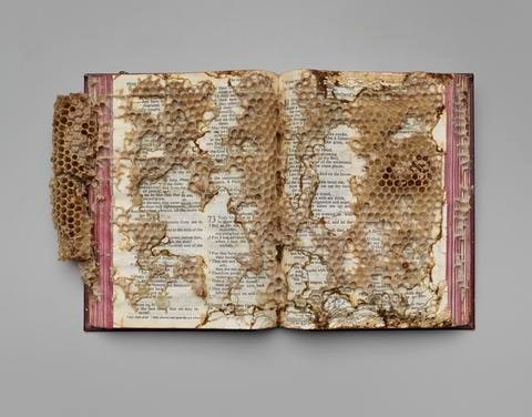 Work of the Bees