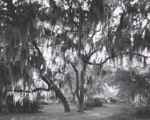 Thompson Avenue, Eatonville, FL, June 2003, from the Eatonville Portfolio