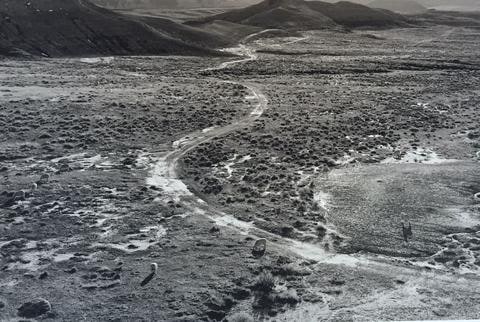 Sheep and Road, Castle Rock, Johnson County, Wyoming, from the series Susurrations: the Wyoming Grasslands Photographic Project