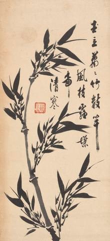 Bamboo
