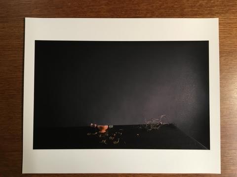 Untitled #15, from the series The Dog and the Wolf, from the Birthday Club Portfolio