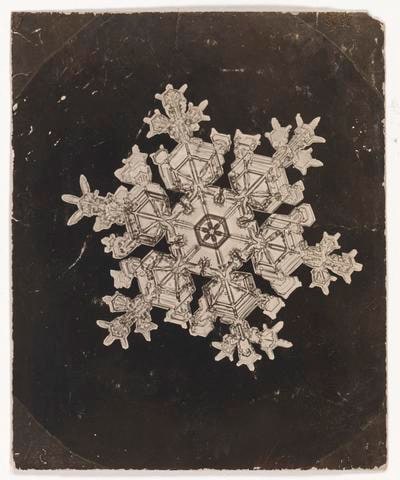 [Snow Crystal]